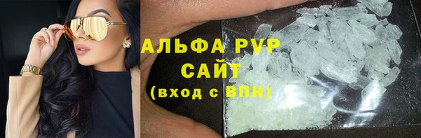 индика Белокуриха