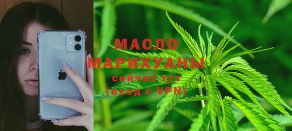 индика Белокуриха