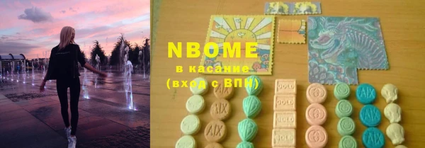 индика Белокуриха