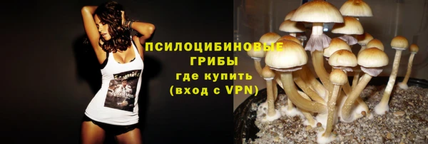 индика Белокуриха