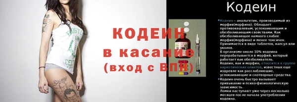 индика Белокуриха