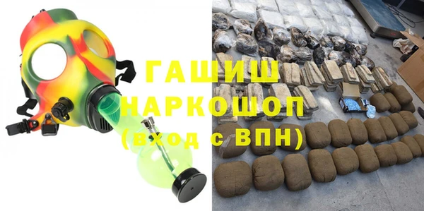индика Белокуриха