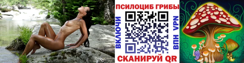Псилоцибиновые грибы мицелий  купить наркоту  Кочубеевское 