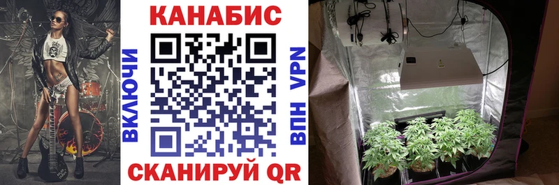 Шишки марихуана индика  Кочубеевское 